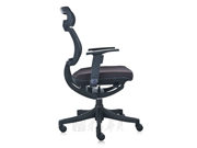 Mesh Executive Chair