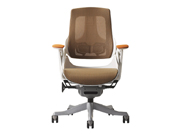 Mesh Medium Back Chair